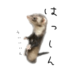 [LINEスタンプ] 獣颯の1