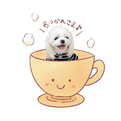 [LINEスタンプ] チワマル♡ジュエラの日常スタンプ