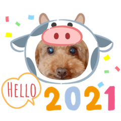 [LINEスタンプ] おいぬのお正月2021