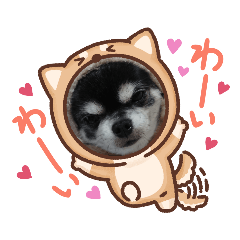 [LINEスタンプ] チワワ メメちゃん達5