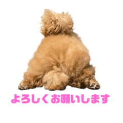 [LINEスタンプ] シェリ(330)
