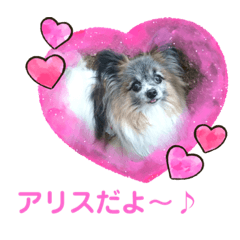 [LINEスタンプ] パピヨンのアリス♪