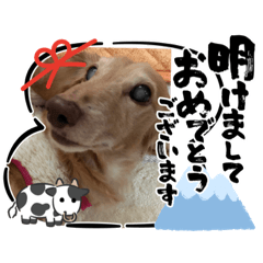 [LINEスタンプ] れおさんスタンプ⑥