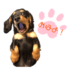 [LINEスタンプ] いちごちゃんの気持ち