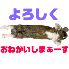 [LINEスタンプ] ロップイヤーのTiffanyくん Ⅷ