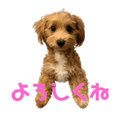 [LINEスタンプ] のん(303)