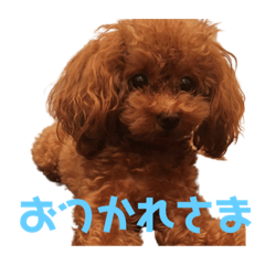 [LINEスタンプ] みみ(414)