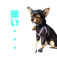 [LINEスタンプ] ウタ(415)2回目