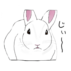 [LINEスタンプ] うさぎ かわいい