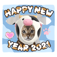 [LINEスタンプ] アルくん❤️スタンプ