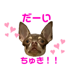 [LINEスタンプ] ベル子の日常スタンプ