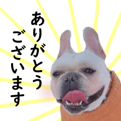 [LINEスタンプ] フレブル サンタの日常会話(敬語)スタンプ