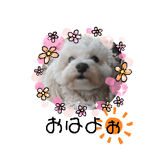 [LINEスタンプ] みるすた3