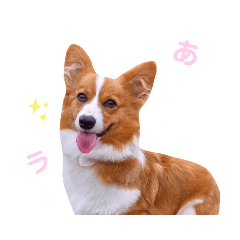 [LINEスタンプ] パピコギラテさん④