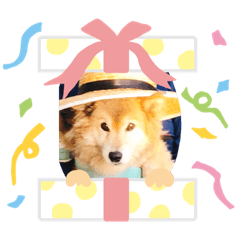[LINEスタンプ] ぽん2021