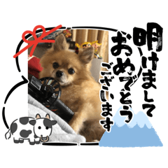 [LINEスタンプ] 年末年始今ドキッズスタンプ