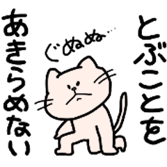 [LINEスタンプ] どうしても、とびたいねこ