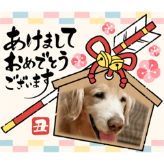 [LINEスタンプ] aslan年末年始ver.2021