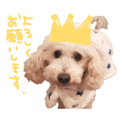 [LINEスタンプ] トイプーとMIX犬のいろんな時用スタンプ！