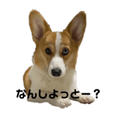 [LINEスタンプ] ボクベッカム②