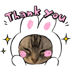 [LINEスタンプ] まぐろちゃんのかわいいスタンプ