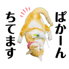 [LINEスタンプ] ぽたんぷ①