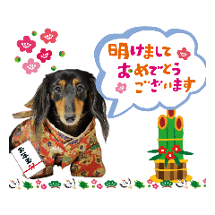 [LINEスタンプ] ミニチュアダックスの気ままなランチ⑫