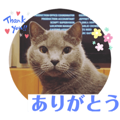 [LINEスタンプ] alii＆soeur