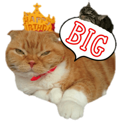 [LINEスタンプ] きなことあんこ6