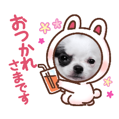 [LINEスタンプ] チワワの感情
