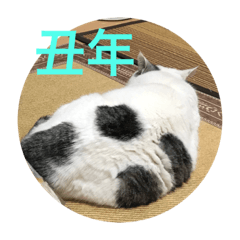 [LINEスタンプ] k.n オリジナル5
