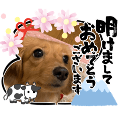 [LINEスタンプ] ららちゃんスタンプ5