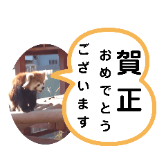 [LINEスタンプ] たけしのスタンプ  その16