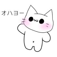 [LINEスタンプ] 目と口が近すぎるネコのスタンプ