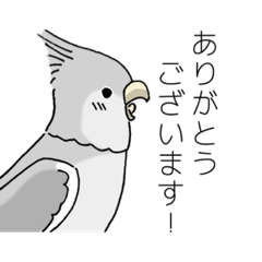 [LINEスタンプ] インコのラッキー。