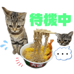 [LINEスタンプ] ひまにゃん5