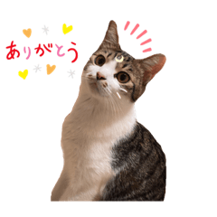 [LINEスタンプ] ぷーちゃん♥