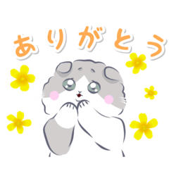 [LINEスタンプ] るんるんの「ほっこり子猫」