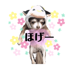 [LINEスタンプ] らい君2021