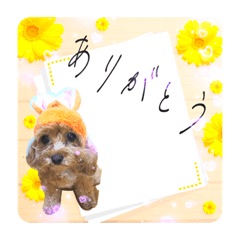 [LINEスタンプ] ほのぼのワンコ！！！