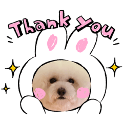 [LINEスタンプ] わらびスタンプ4
