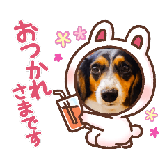 [LINEスタンプ] サナの会話