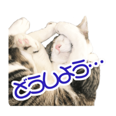 [LINEスタンプ] ビビ＆カカ 3