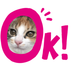 [LINEスタンプ] キャラたんスタンプ