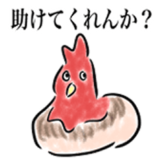 [LINEスタンプ] 狂った鶏のスタンプの画像（メイン）