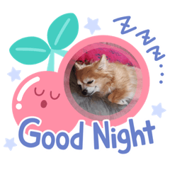 [LINEスタンプ] とてもかわいいチワワちゃん2