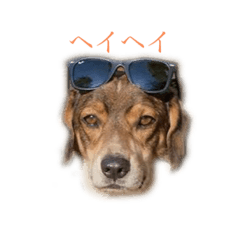 [LINEスタンプ] ジョンうる 第三弾