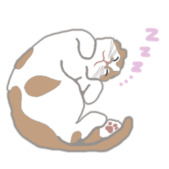 [LINEスタンプ] あたち、てるちゃん