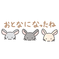 [LINEスタンプ] いろいろなチンチラの画像（メイン）