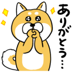 [LINEスタンプ] 茶柴黒柴がひたすらに感謝を伝えるスタンプ